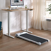 Living Fusion Sienna Single Motor Electric Sit &amp; Stand Desk