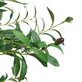 Living Fusion 150cm Potted Faux Olive Trees