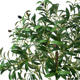 Living Fusion 150cm Potted Faux Olive Trees