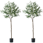 Living Fusion 150cm Potted Faux Olive Trees