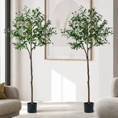 Living Fusion 150cm Potted Faux Olive Trees