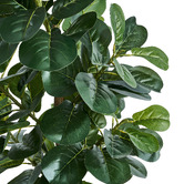 Living Fusion 180cm Potted Faux Fiddle Leaf Fig Trees