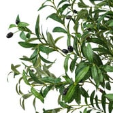 Living Fusion 180cm Potted Faux Olive Trees