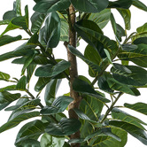 Living Fusion 180cm Potted Faux Fiddle Leaf Fig Trees
