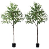 Living Fusion 180cm Potted Faux Olive Trees
