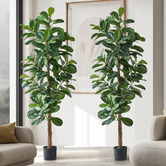 Living Fusion 180cm Potted Faux Fiddle Leaf Fig Trees