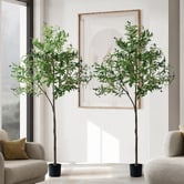 Living Fusion 180cm Potted Faux Olive Trees