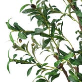 Living Fusion 210cm Potted Faux Olive Trees