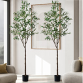 Living Fusion 210cm Potted Faux Olive Trees