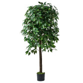 Living Fusion 180cm Potted Faux Ficus Tree