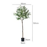 Living Fusion 150cm Potted Faux Olive Trees