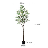 Living Fusion 210cm Potted Faux Olive Trees