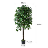 Living Fusion 180cm Potted Faux Ficus Tree