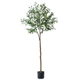 Living Fusion 150cm Potted Faux Olive Trees