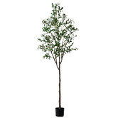 Living Fusion 210cm Potted Faux Olive Trees