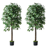 Living Fusion 150cm Potted Faux Ficus Trees