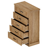 Living Fusion Fallon 5 Drawer Chest