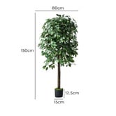 Living Fusion 150cm Potted Faux Ficus Trees