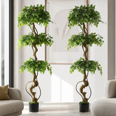 Living Fusion 180cm Potted Faux Ficus Trees