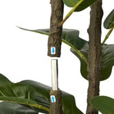 Living Fusion 150cm Potted Faux Fiddle Leaf Fig Trees