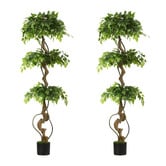 Living Fusion 180cm Potted Faux Ficus Trees