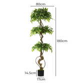 Living Fusion 180cm Potted Faux Ficus Trees