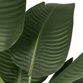 Living Fusion 180cm Potted Faux Bird of Paradise Plants