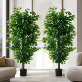 Living Fusion 150cm Potted Faux Ficus Trees