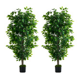 Living Fusion 150cm Potted Faux Ficus Trees