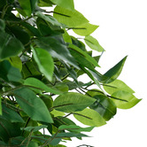 Living Fusion 150cm Potted Faux Ficus Trees
