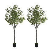 Living Fusion 180cm Potted Faux Eucalyptus Trees