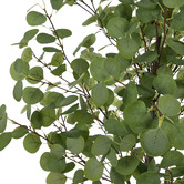 Living Fusion 180cm Potted Faux Eucalyptus Trees