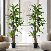 Living Fusion 150cm Potted Faux Dracaena Trees