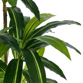 Living Fusion 150cm Potted Faux Dracaena Trees