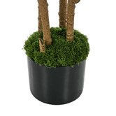 Living Fusion 150cm Potted Faux Dracaena Trees