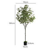 Living Fusion 180cm Potted Faux Eucalyptus Trees