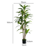 Living Fusion 150cm Potted Faux Dracaena Trees