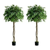 Living Fusion 180cm Potted Faux Ficus Trees