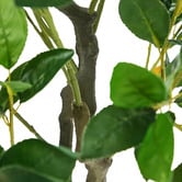 Living Fusion 180cm Potted Faux Ficus Trees