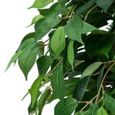 Living Fusion 180cm Potted Faux Ficus Trees