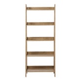 Living Fusion Ayden 5 Tier Ladder Shelf