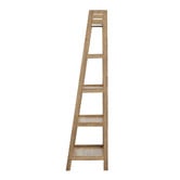 Living Fusion Ayden 5 Tier Ladder Shelf
