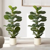 Living Fusion 90cm Potted Faux Fiddle Leaf Fig Trees