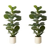Living Fusion 90cm Potted Faux Fiddle Leaf Fig Trees
