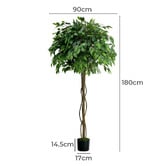 Living Fusion 180cm Potted Faux Ficus Trees