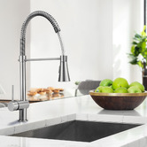 Braxton Home Nour Spring Kitchen Sink Mixer