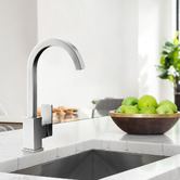 Braxton Home Soren Gooseneck Kitchen Sink Mixer