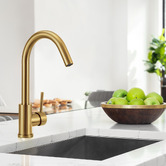 Braxton Home Madison Kitchen Sink Mixer
