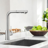 Braxton Home Galen Pull-Out Kitchen Sink Mixer