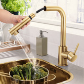 Braxton Home Galen Pull-Out Kitchen Sink Mixer